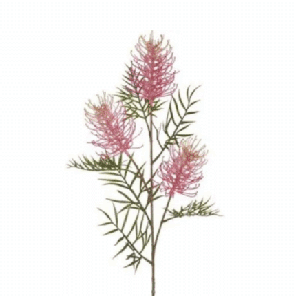 Grevilla Pink flboard