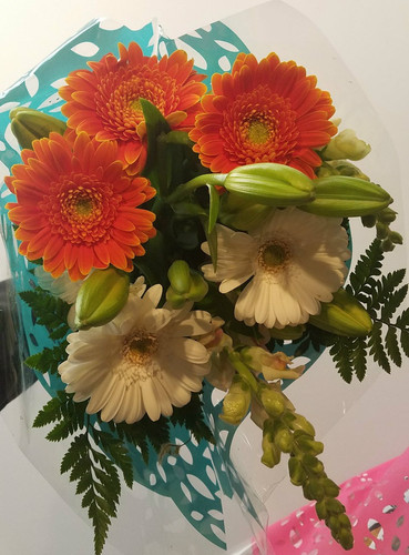 Boquets Gerber canada