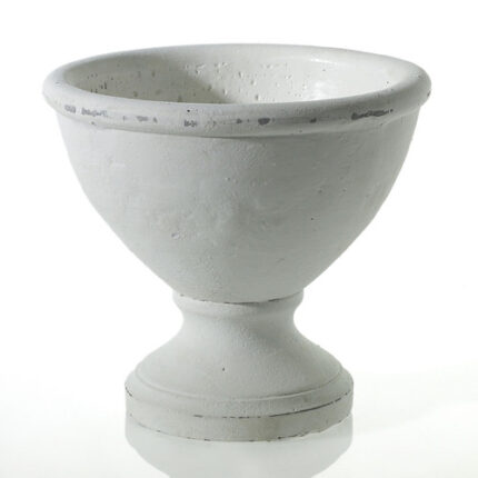Benoit Compote 8"x7.5"