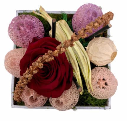 Eternal Dried Burgundy box hol