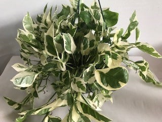 Pearls and Jade Hanging basket