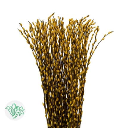 P.Willow Yellow Painted holl 10st