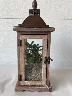 14" Lantern w/plants