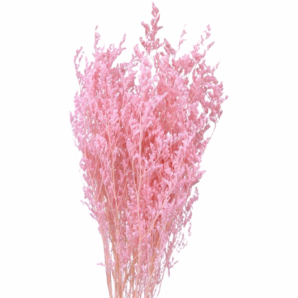 Dried Limonium Pink holl