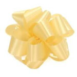 #3 SATIN rib BUTCRM 100 YDS - Image 2