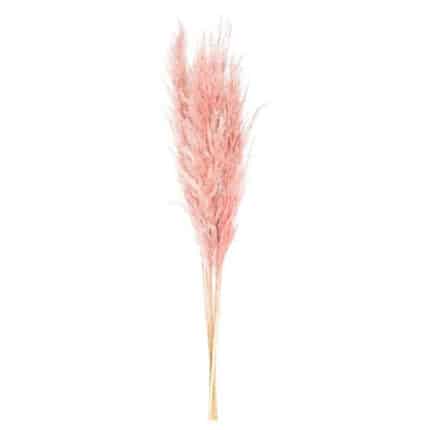 GRASS Feather Dusty Pink 3pcs/