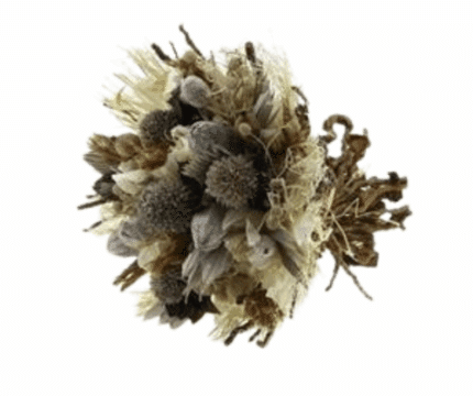 Dried Bouquet Natural Bleached