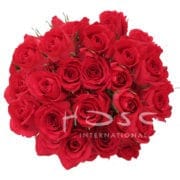 RoseSpray FruityBubble hosa