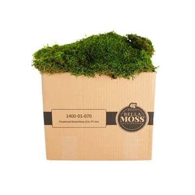MOSS Bella sheet green 1cuft