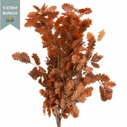 Oak Leaf Orange preserved holex