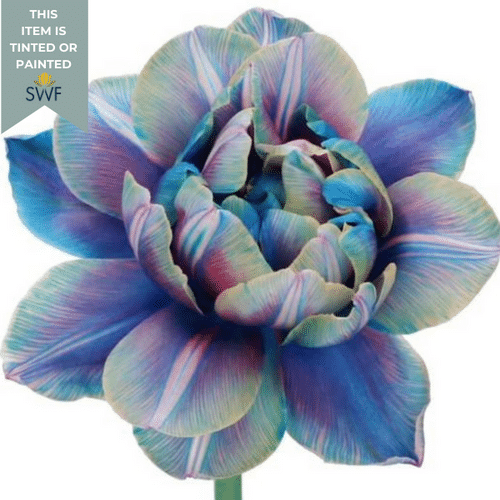 3ed052af-d9c3-4dfe-a92b-4838093d93ab.png Tulip Dyed Dbl Bubble holl - Image 1