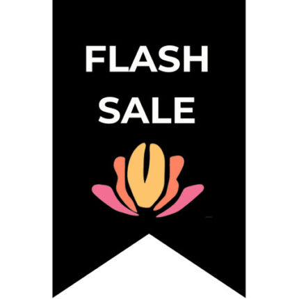 Anemone Fushia& Blue 5 bu mixe