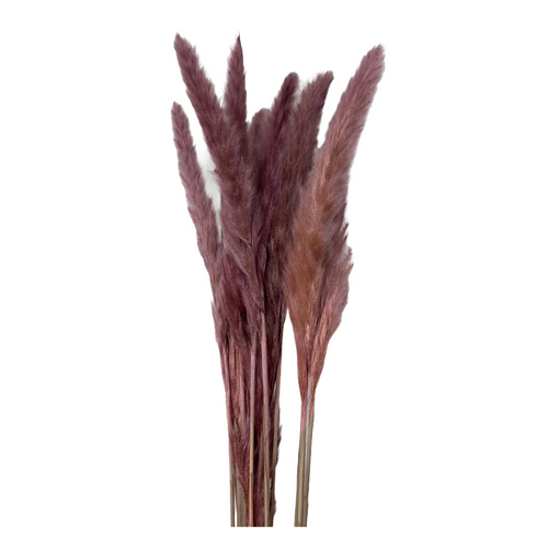 40d3b464-7900-4291-8218-c54dfc9cb44d.png Pampass Grass Silvy Dyed Pink - Image 1
