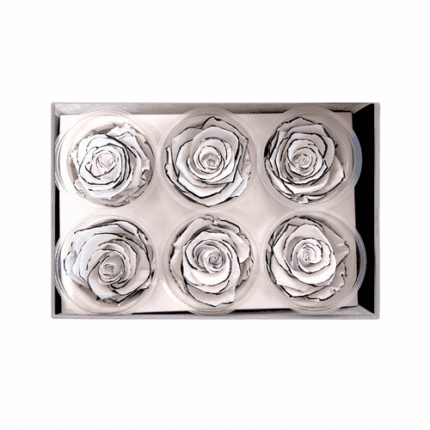 Rose Preserved Channel naranjo