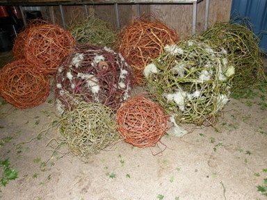 Spheres smal oregon coastal