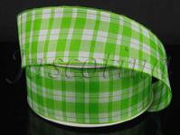 #9 Gingham DWI Lime 10yrds