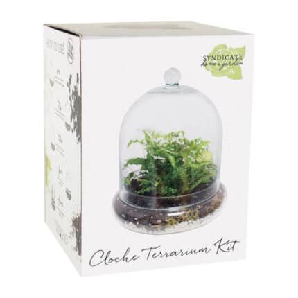 Terrarium cloche kit 10"x11" 2cs