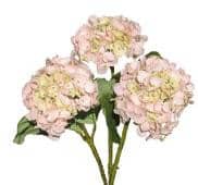 HYDRO lt pink holl(st)