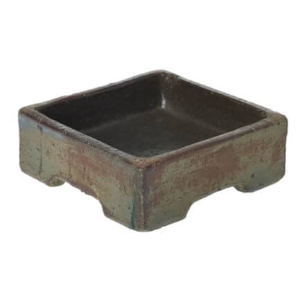 Leon square planter 8"x3" eacg