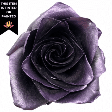 Rose Amethyst 60cm florecal