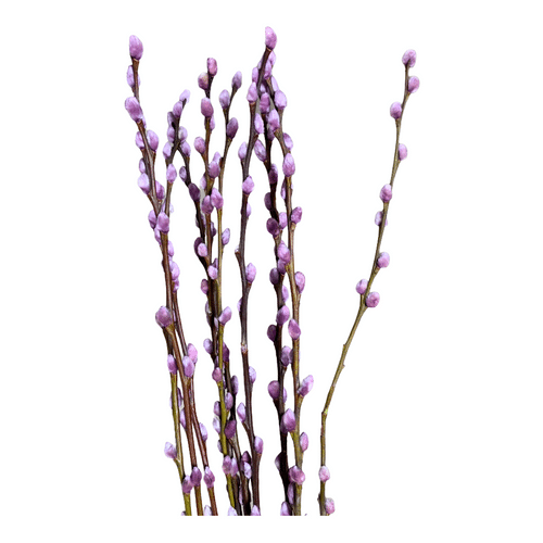 4636cb96-fd35-4660-a9e7-100f542eba82.png P.Willow Painted Milka 70cm ho - Image 1