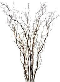 CurlyWillow Tips seaberry 2-3'