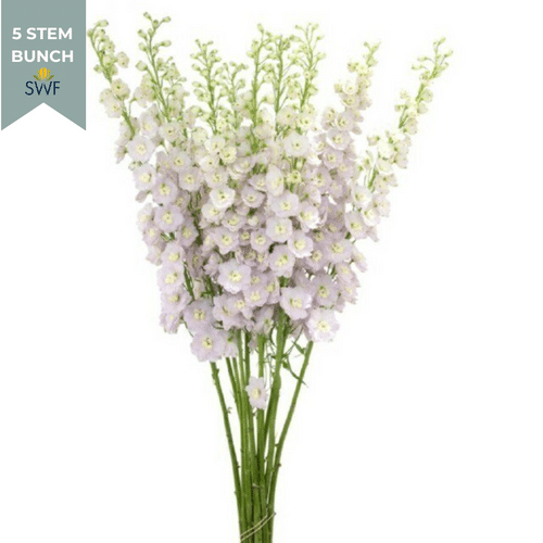 48a5edc4-2e4a-4d27-bb9a-975c27407a5c.png Delph Mauve Elatum 120cm - Image 1