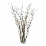 Curly Willow large hiawatha