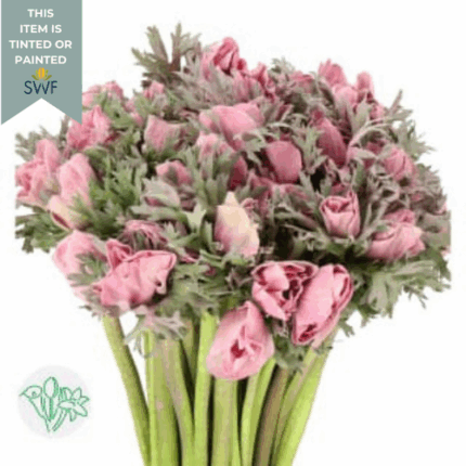 Anemone Powder Lie De Vie hol