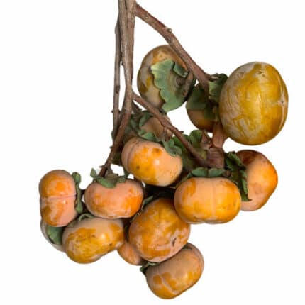 PERSIMMON tutuli