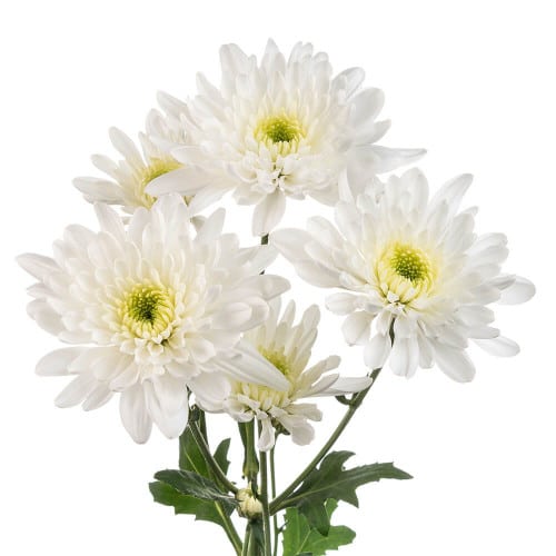 4e715f4c-932f-4b30-98ae-56ea45f7c2ad.jpg Pom Cushion White Artic Platin - Image 1