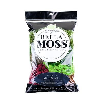 Bella Moss preserved mix bag #1426 each