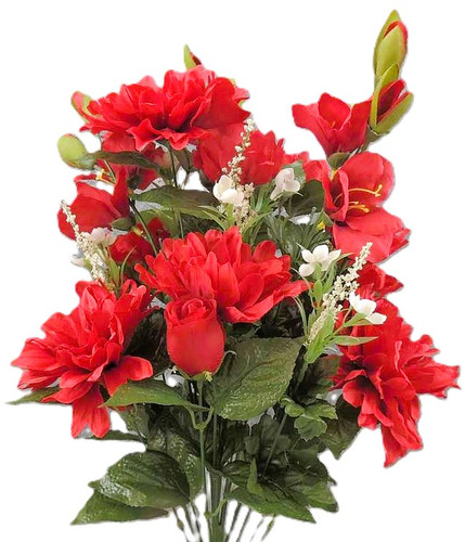 Dahlia/rose/glad red bush x24