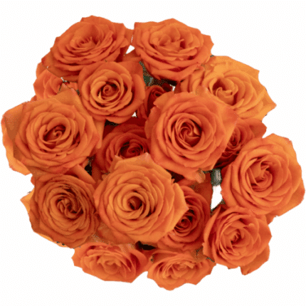 RoseSpray Org Jewel tessa