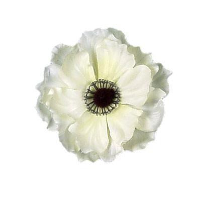 Anemone White flowerboard