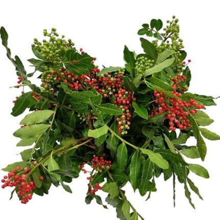 Pepperberry Brazilian camflor