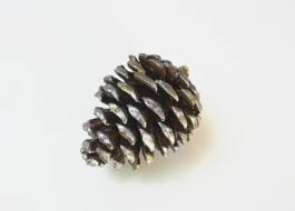 CONE silver sparkle pick 5pc