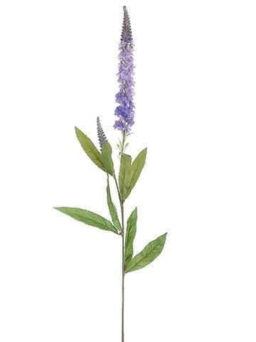 Veronica Lavender ob