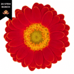 Germini Piccolini Micro Fireba