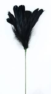 FEATHERS BLACK EA