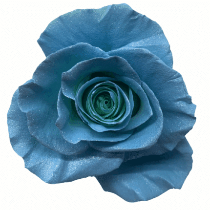 Rose Frozen 50cm florecal