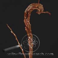 Pwillow red twig rmp