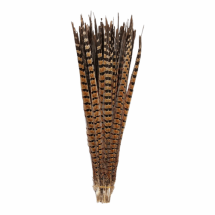 Feather Pheasant (sleeved) 10 per pack