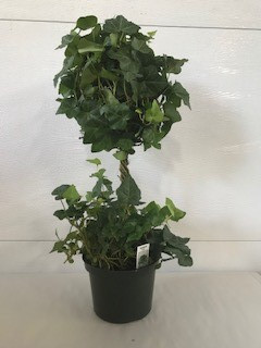 6" IVY BALL ON STEM