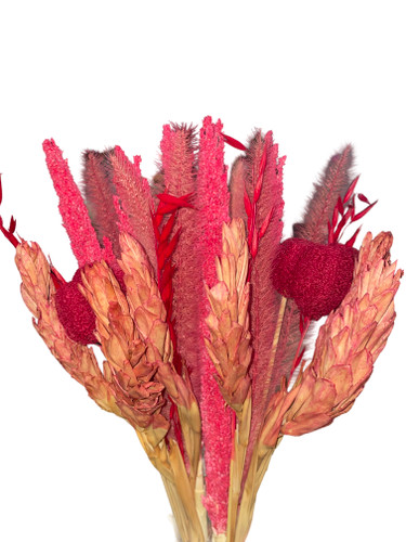 Dried Bouquet Lush Bot. Red Ma