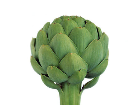Artichokes Baby grn ov(st)