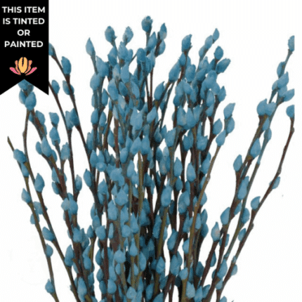 Pussy Willow Dyed Lt Blue 70cm