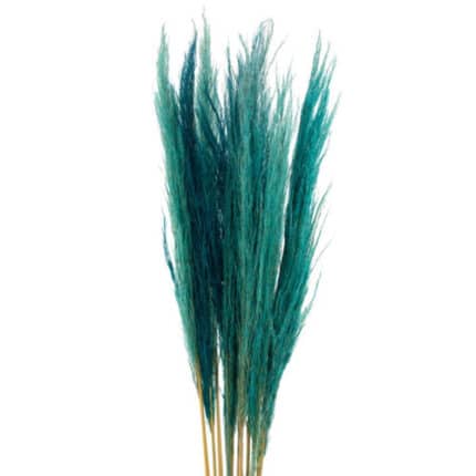 Pampass Dyed Turquoise holl