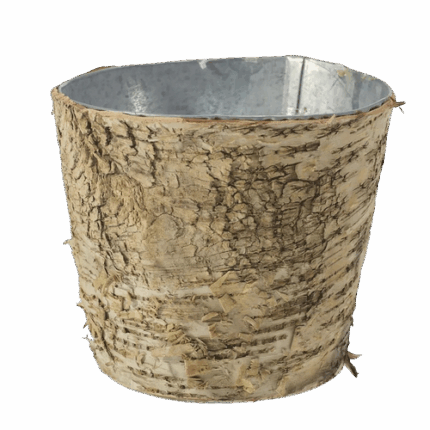 Birch pot w/zinc 5.5"x5" each