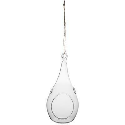 Terrarium teardrop 7"Hx3.5"D 6cs